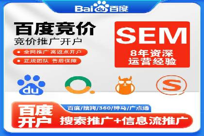 搜索引擎营销（SEM）专员的挑战与机遇