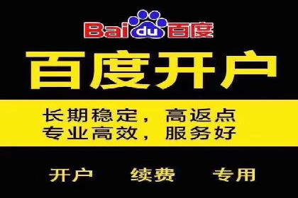 百度包年竞价策略优化：提高投资回报率